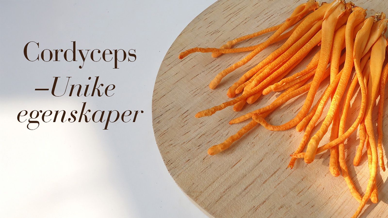 Cordyceps: En sopp med unike egenskaper