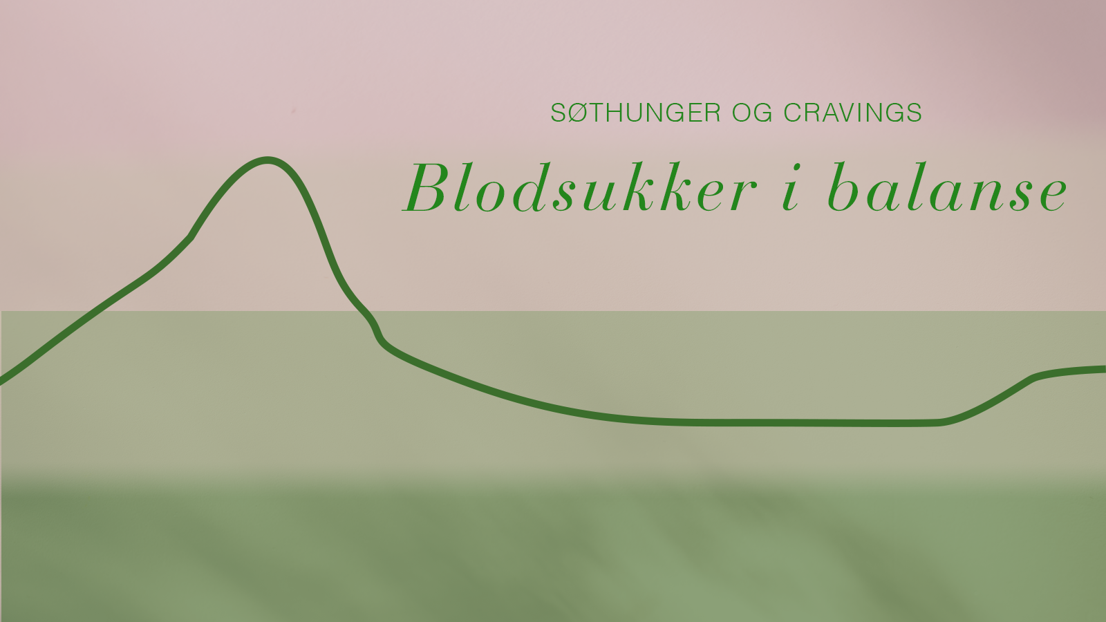 Søthunger og cravings – hvorfor vi får dem (og hvordan vi roer dem)