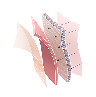 i_webcollage_HyaluronActive_diagram_udenbaggrund