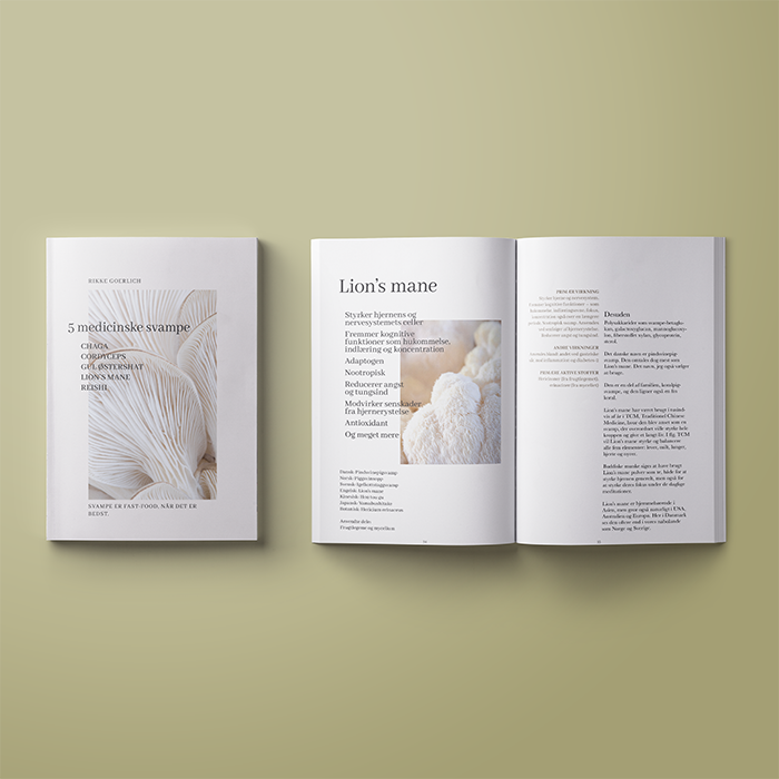 5 MEDICINSKE SVAMPE 5 MEDICINSKE SVAMPE
