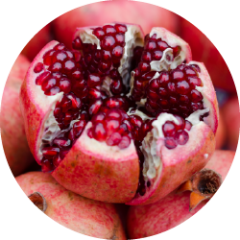 Ellaginsyre-rig granatæble (Punica granatum L.)