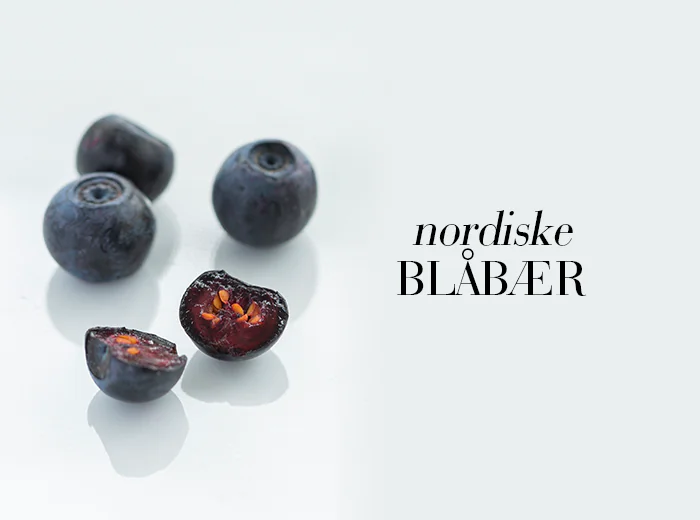 w_Blueberries_NO_700x520_Nordic