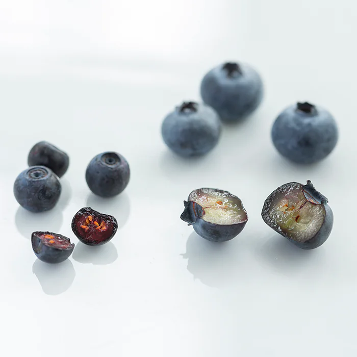 i_Blueberries_JBP5298_NewNordic_IG_1369_J_INT